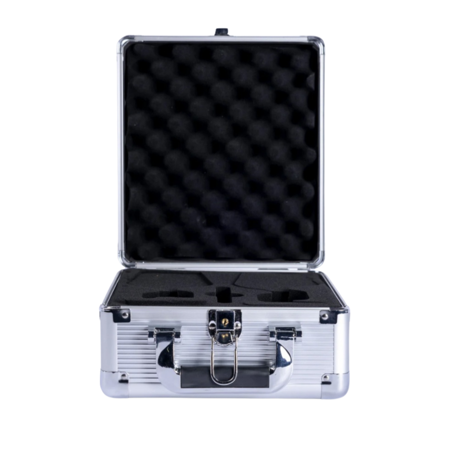 Two-Glass Travel Case